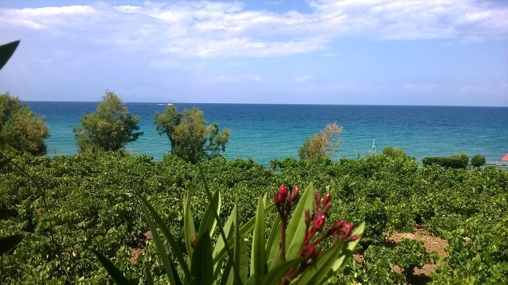 Villa Antonis Deluxe Apartments อามูดี ภายนอก รูปภาพ
